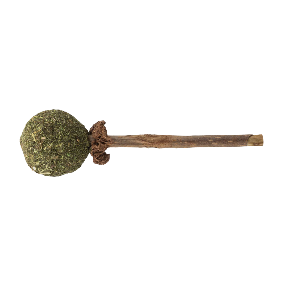 Matatabi Lollypop med Catnip - 11 CM