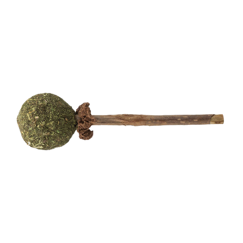 Matatabi Lollypop med Catnip - 11 CM