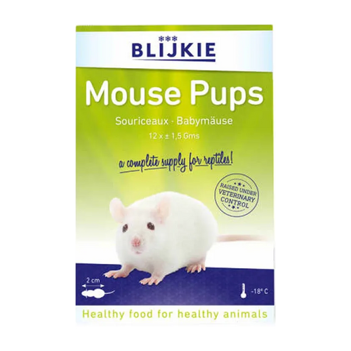 Mouse Pups - 12 Pack | Endast 119 kr! - Zoogiganten