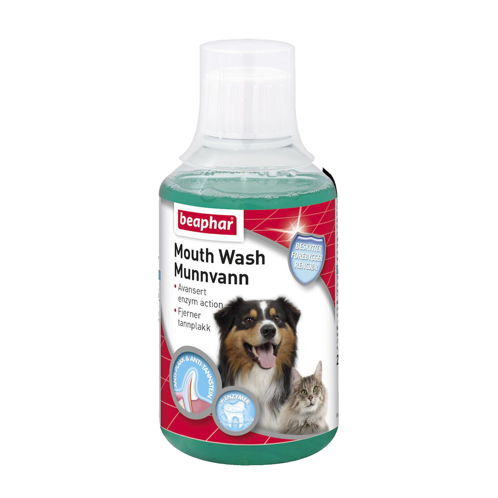 No Love Spray Hund