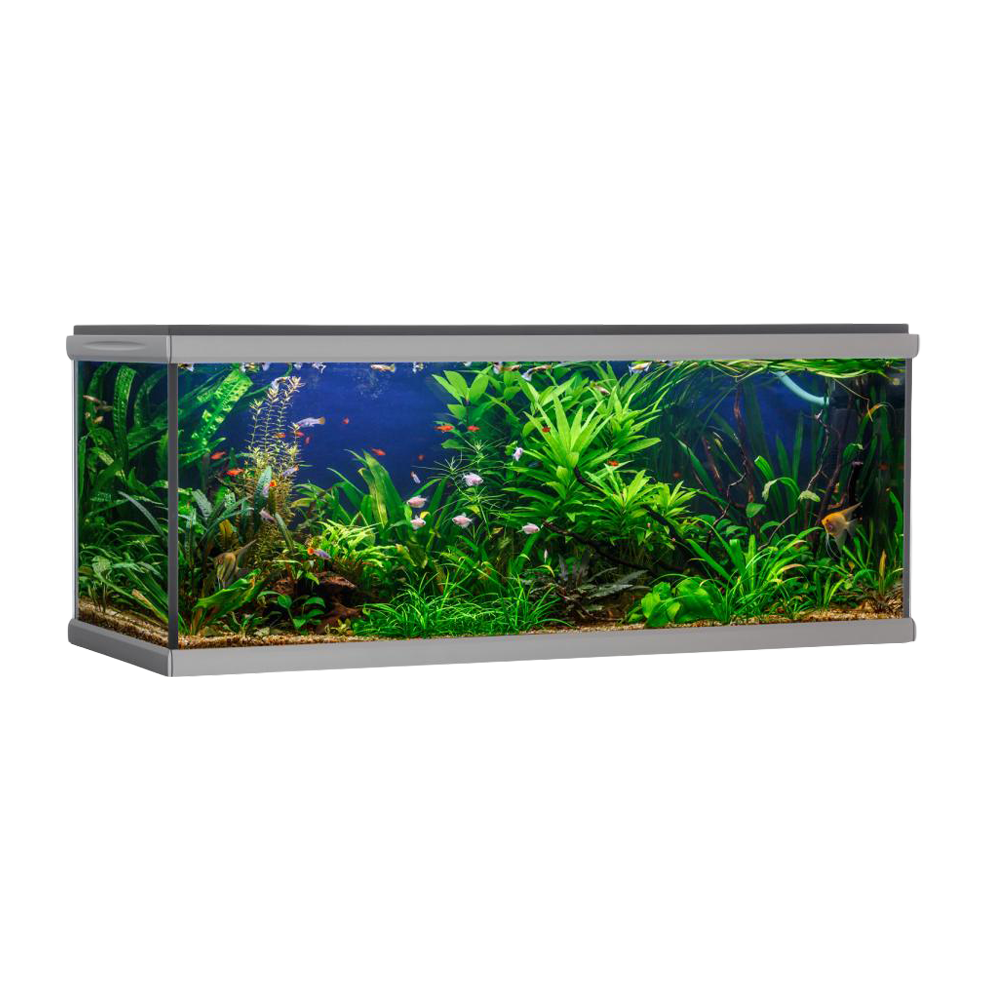 Akvastabil Move Akvarium - 576 L