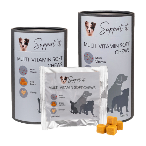 Multivitamin Soft Chews - 60 ST | Endast 499 kr! - Zoogiganten