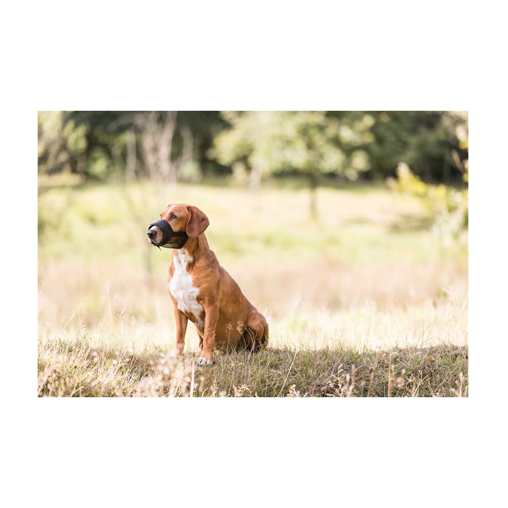 Munkorg Nylon med nät