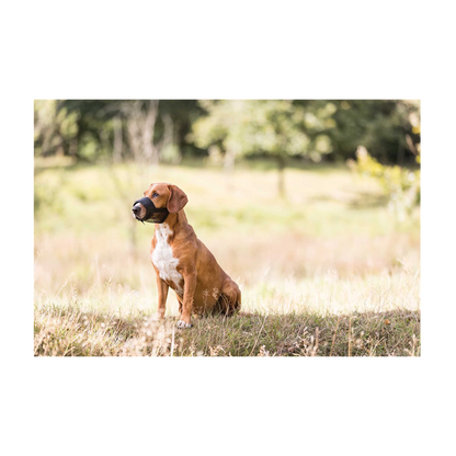 Munkorg Nylon med nät