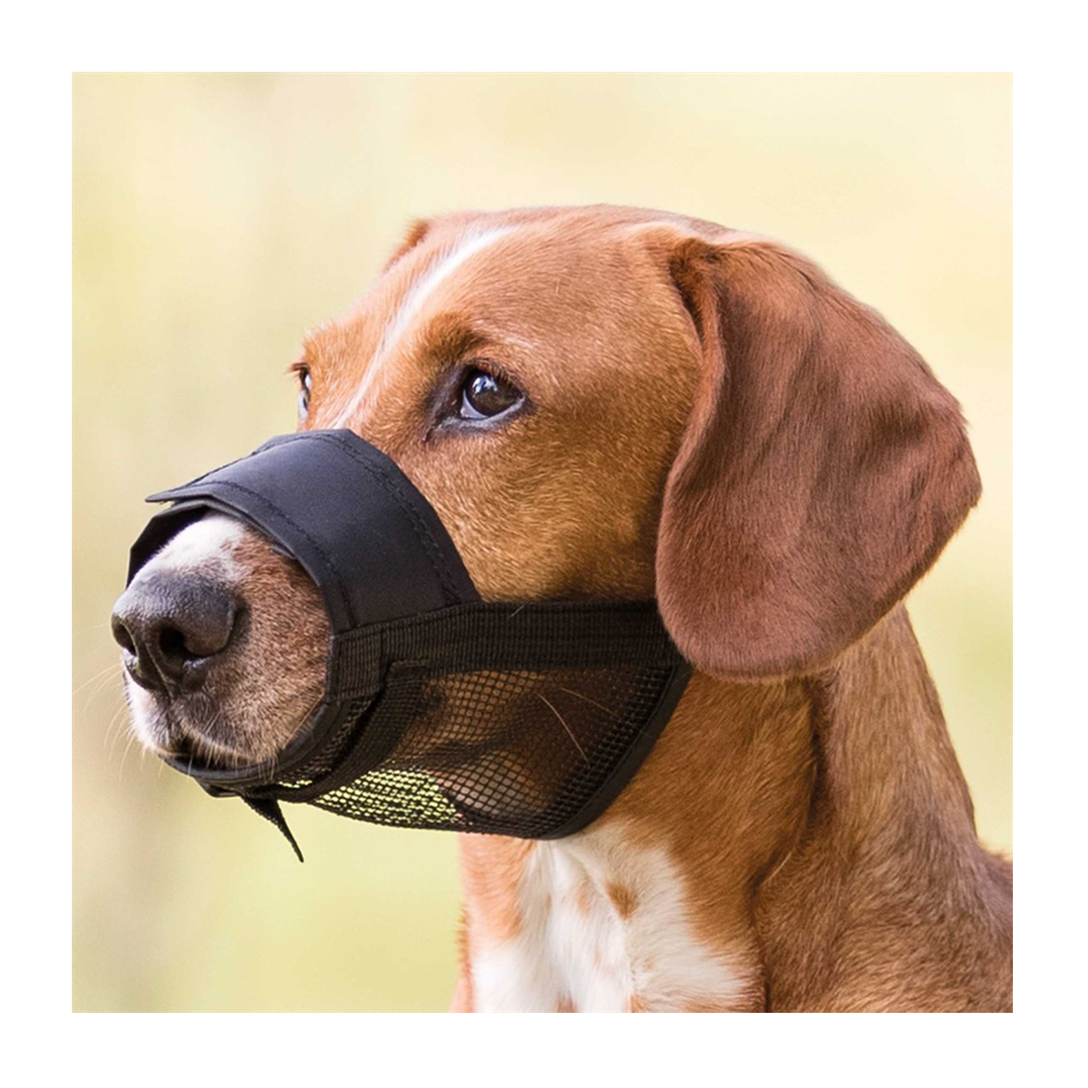 Munkorg Nylon med nät