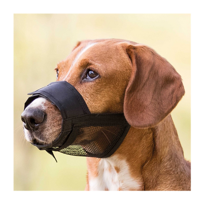 Munkorg Nylon med nät