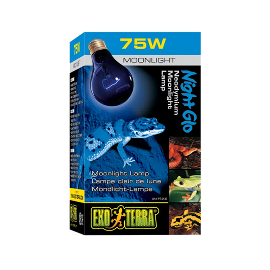Exoterra Nattlampa E27 - Blå | Endast 99 kr! - Zoogiganten