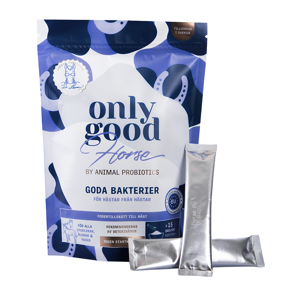 OnlyGoodHorse sticks - 15-pack