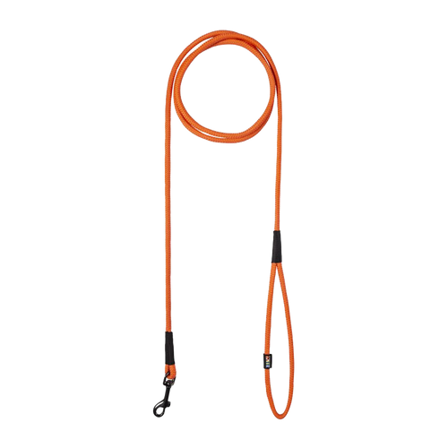 Swim Leash Orange
