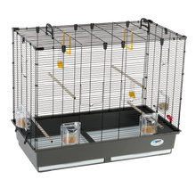 Fågelbur Piano 6 Svart