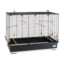 Fågelbur Piano 7 - Svart