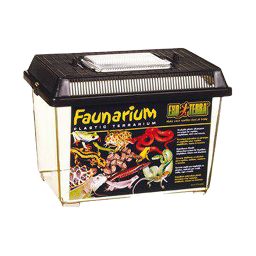 Plast Terrarium Small - 23X15.3X16.5 CM | Endast 119 kr! - Zoogiganten