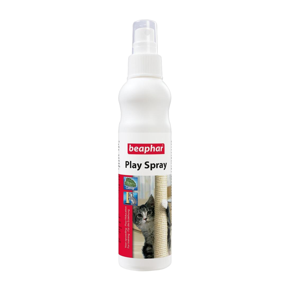 Play Spray Katt med Mynta