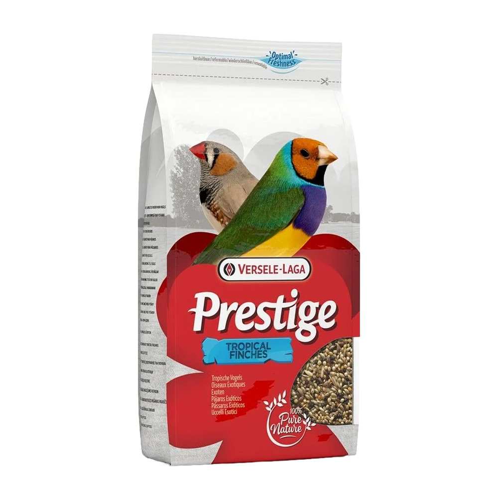 Prestige Tropical Stand up