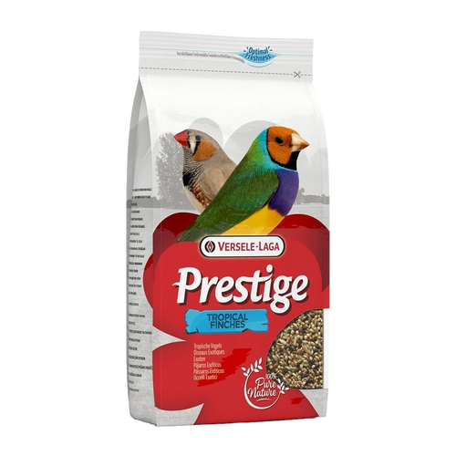 Prestige Tropical Stand up
