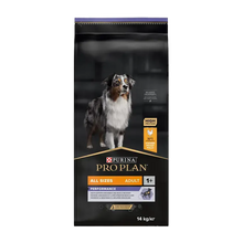 Pro Plan All Sizes Adult - Performance - 14 KG