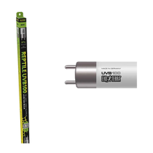 Reptil UVB100 T5 UVA/UVB - 8 WATT