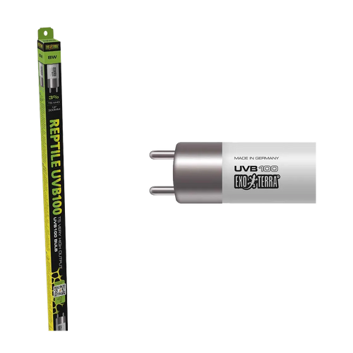 Reptil UVB100 T5 UVA/UVB - 8 WATT