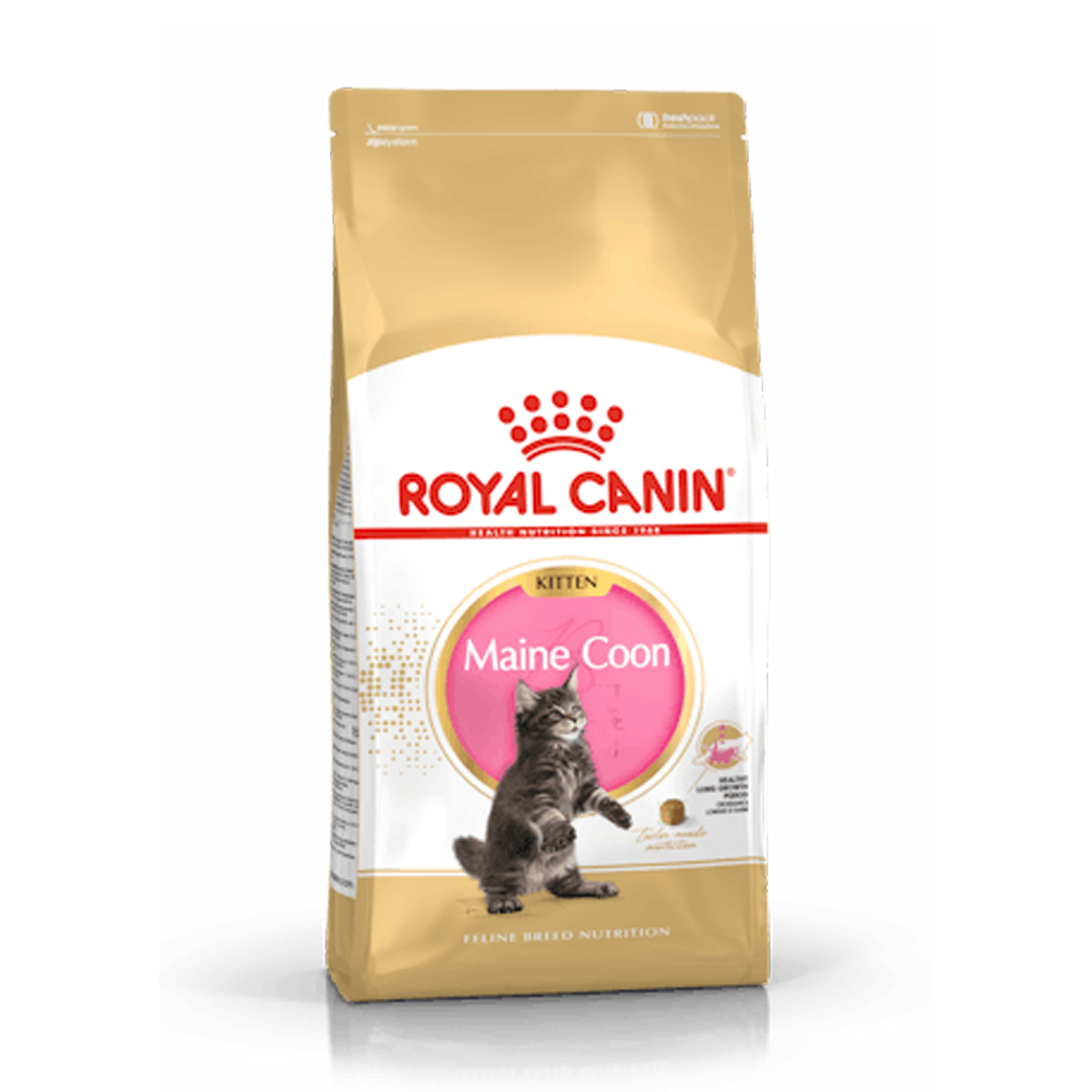 Royal Canin Maine Coon Kitten - 2 KG | Endast 449 kr! - Zoogiganten
