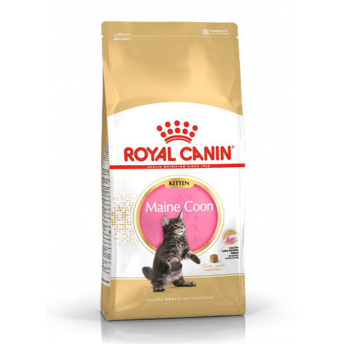 Royal Canin Maine Coon Kitter - 10 KG | Endast 1599 kr! - Zoogiganten