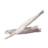 Snackit Torskskinn Sticks 30 CM - 250 G | Endast 229 kr! - Zoogiganten