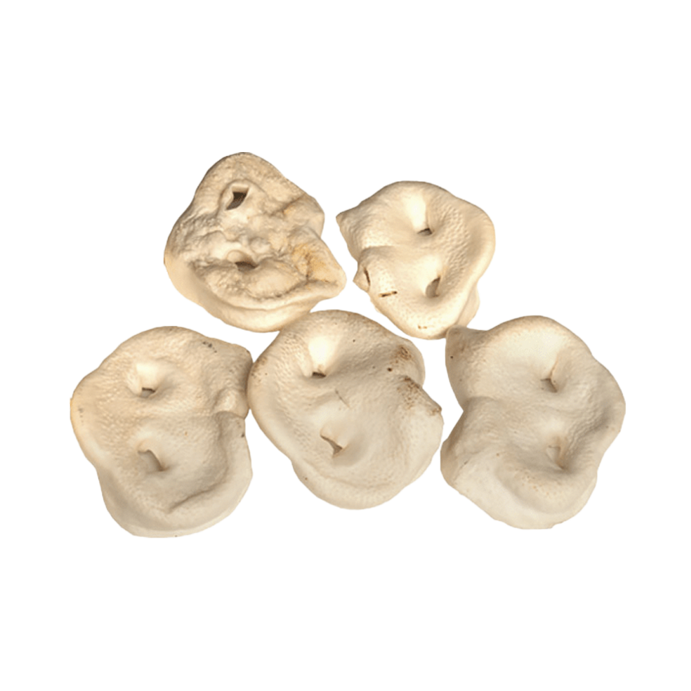 Snackit Vita Gristrynen - 5 ST | Endast 149 kr! - Zoogiganten