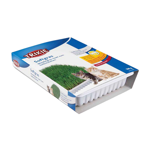 Kattgräs Mjukt Vitaminberikad med Odlingslåda Ca - 100 G