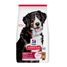 Science Plan Canine Adult Large Breed Lamb&rice - 12 KG
