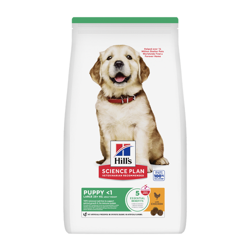 Science Plan Puppy Large Breed Chicken - 12 KG