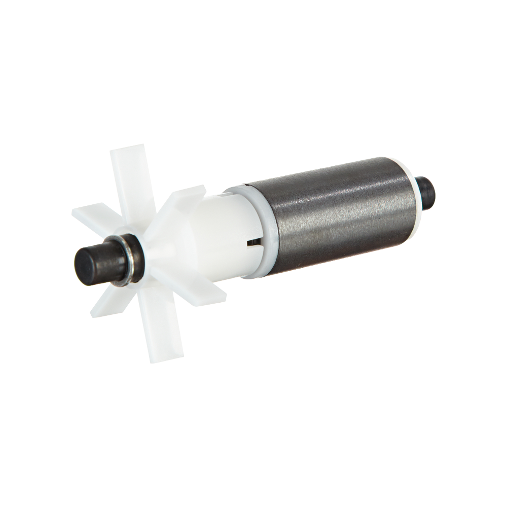 Spare Rotor Pump 3500 Ase X Ring