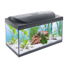 Tetra Startpaket - 54 L | Endast 1499 kr! - Zoogiganten