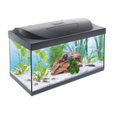 Tetra Startpaket - 54 L | Endast 1499 kr! - Zoogiganten