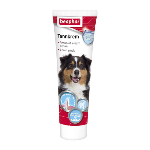 Tandkräm med Enzymer Hund & Katt