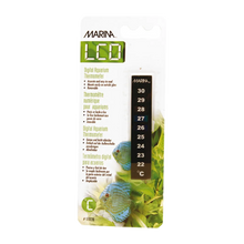 Termometer Lcd Blister Skala 22 - 30