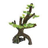 Träd Akvarium - 13.5X9X21 CM | Endast 169 kr! - Zoogiganten