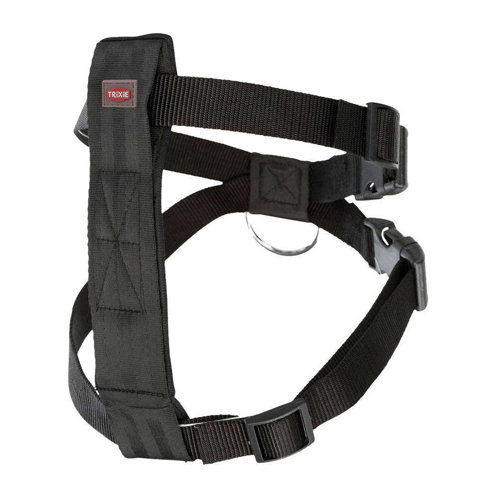 Bilsele XSmall - 20-50 CM | Endast 119 kr! - Zoogiganten