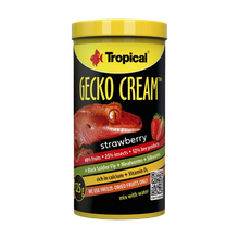 Tropical Gecko Cream Jordgubbe - 100 ML