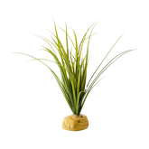Exoterra Sköldpadda Gräs | Endast 159 kr! - Zoogiganten