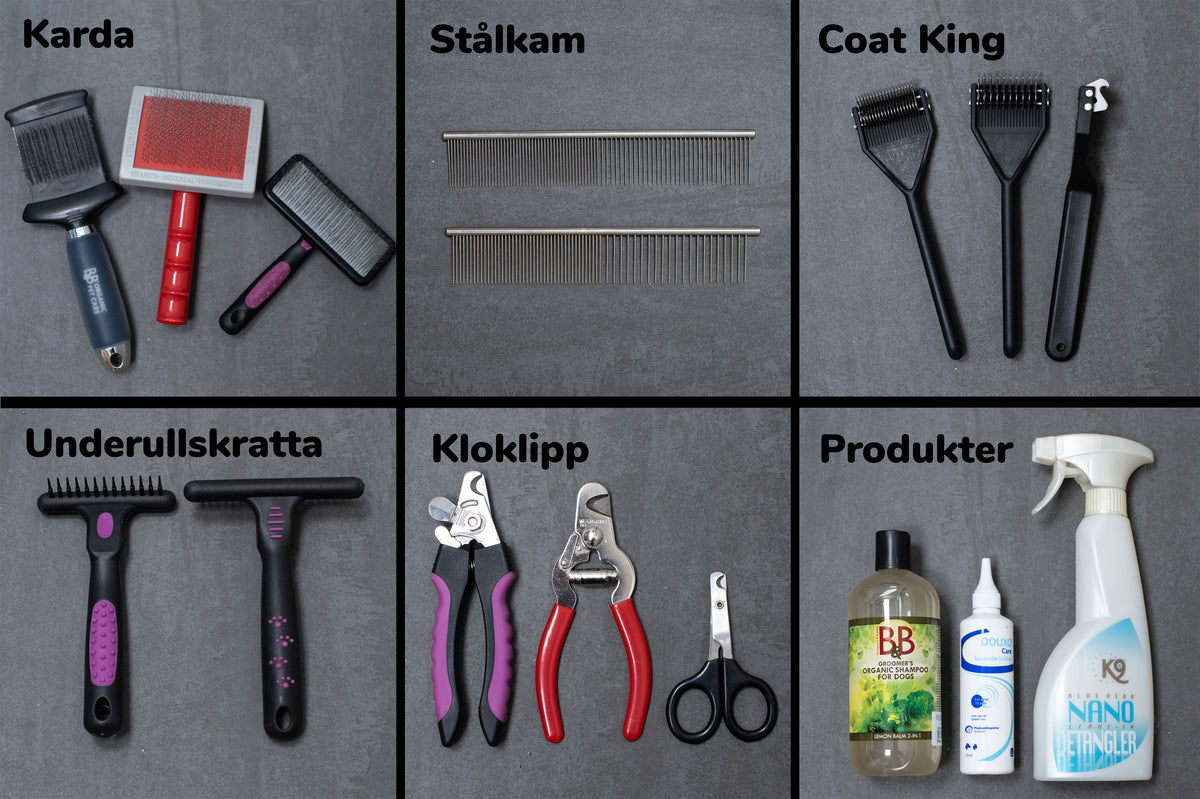 HUND - Pälsvårdsskolan | Endast 439 kr! - Zoogiganten