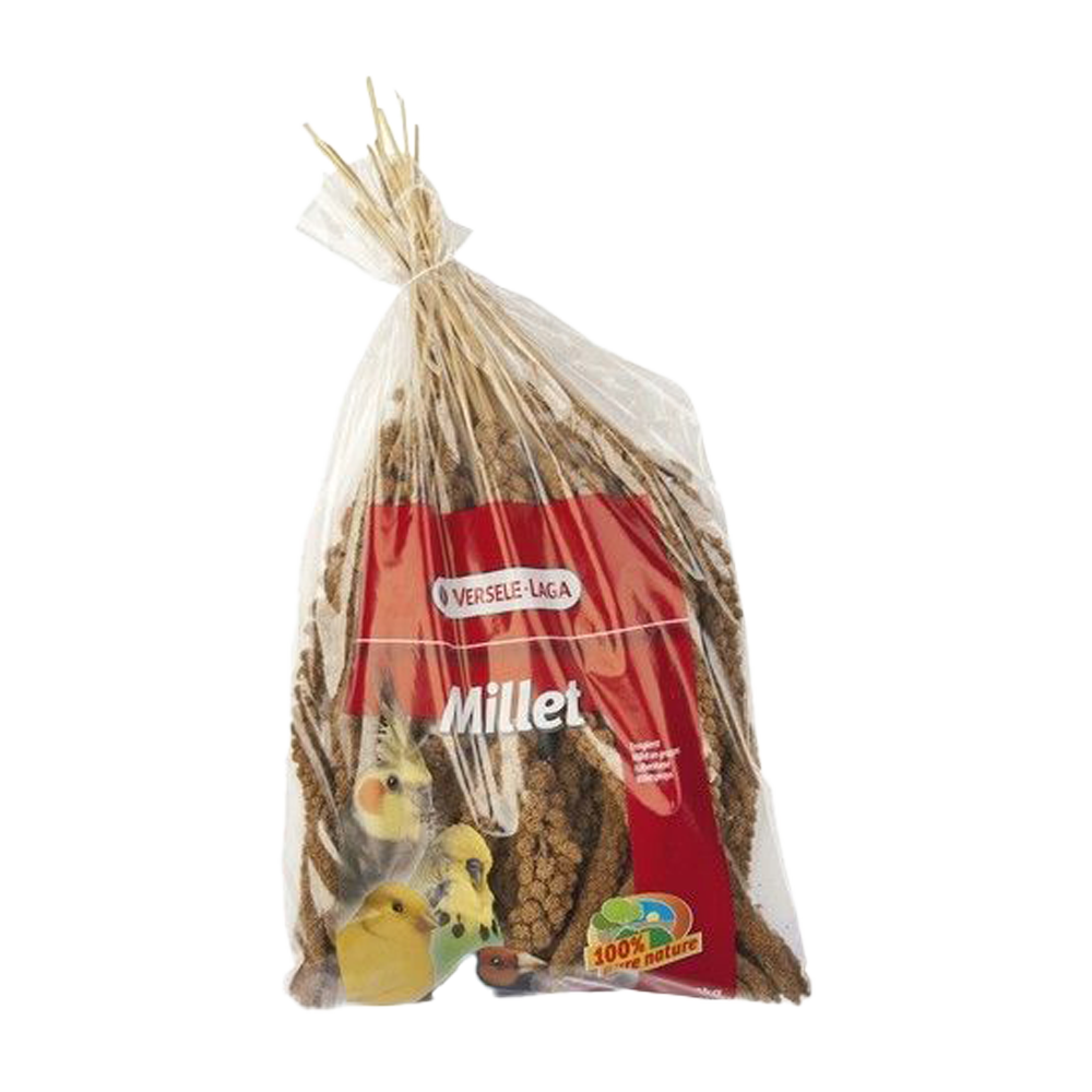 Gula hirskolvar - 300 G | Endast 119 kr! - Zoogiganten