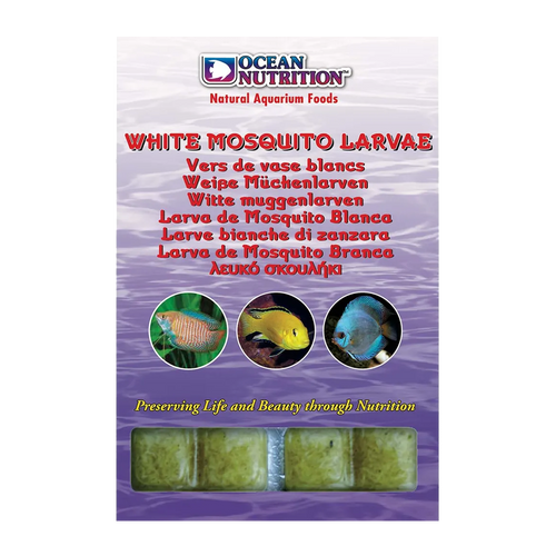 White mosquito Larv 20 kuber - 100 G | Endast 49 kr! - Zoogiganten
