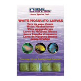 White mosquito Larv 20 kuber - 100 G | Endast 49 kr! - Zoogiganten